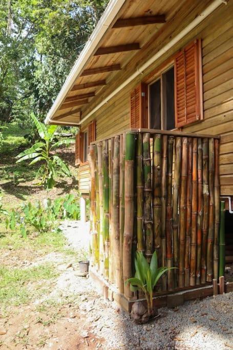 Jungle Beach 2 Bedroom Cottage Bocas del Toro Eksteriør bilde