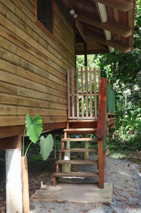 Jungle Beach 2 Bedroom Cottage Bocas del Toro Eksteriør bilde