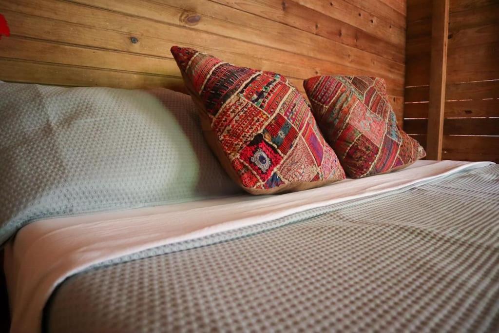 Jungle Beach 2 Bedroom Cottage Bocas del Toro Eksteriør bilde